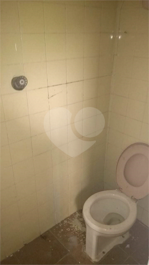Foto REO374026