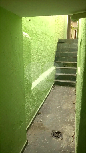Foto REO374026