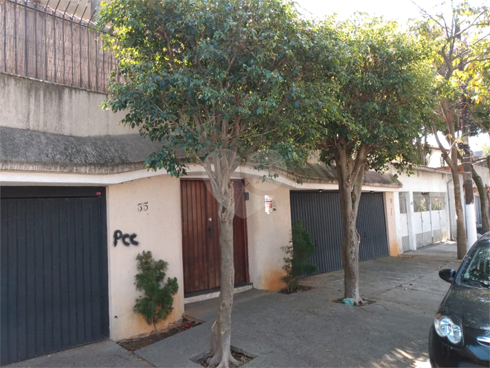Foto REO374097