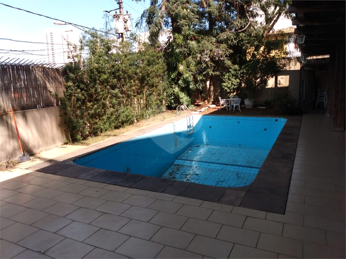 Foto REO374097
