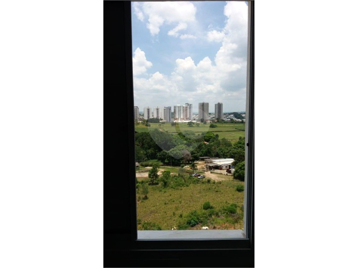 Foto REO374162
