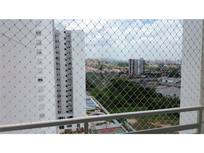 Foto REO374162