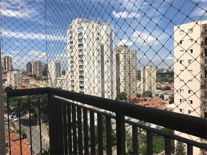 Foto REO374272
