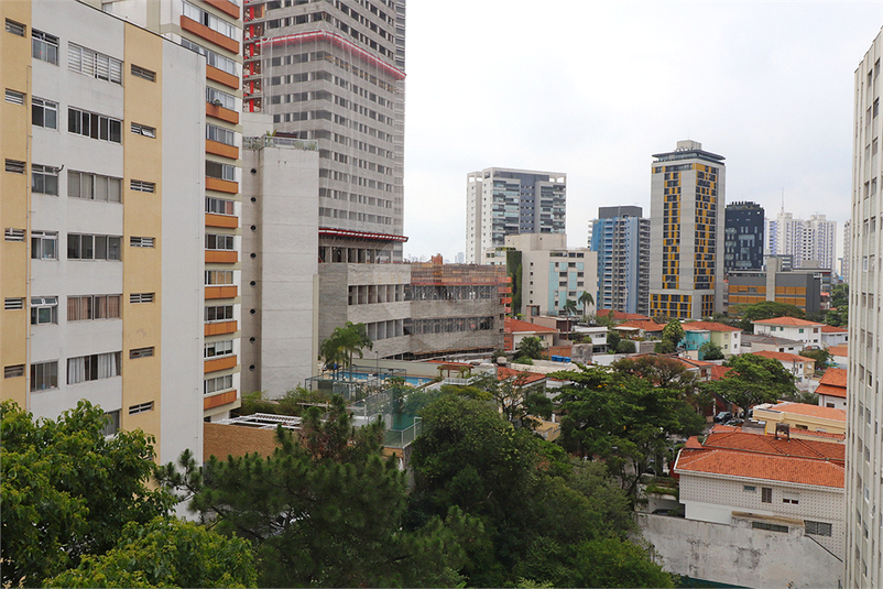 Foto REO374742