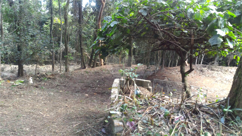 Venda Terreno Mairiporã Serra Da Cantareira REO374820 6