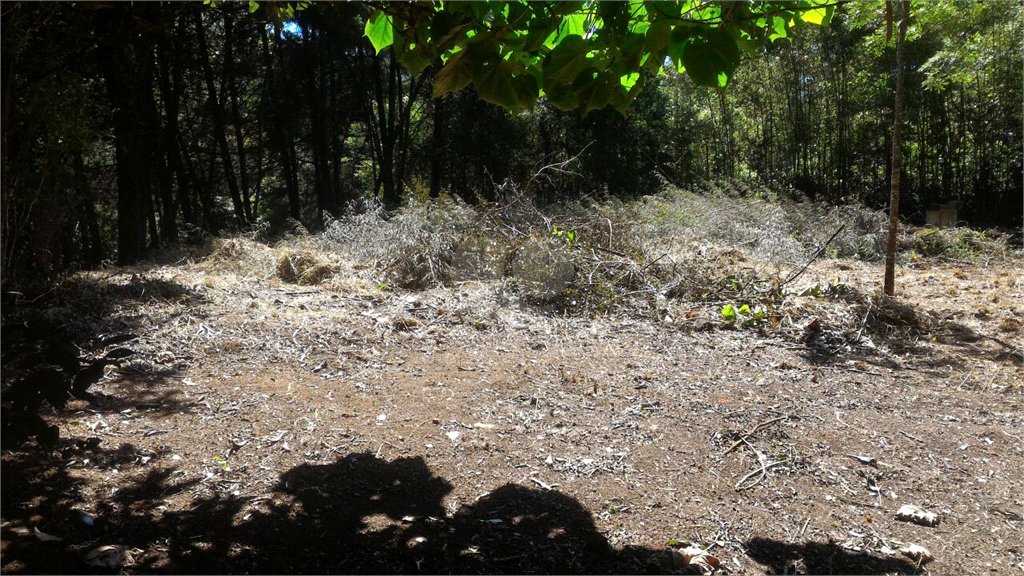 Venda Terreno Mairiporã Serra Da Cantareira REO374820 5