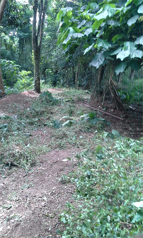 Venda Terreno Mairiporã Serra Da Cantareira REO374820 15