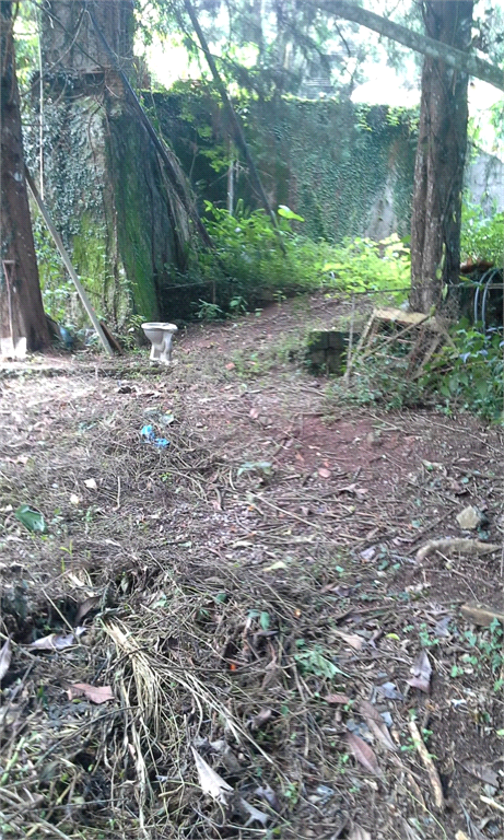 Venda Terreno Mairiporã Serra Da Cantareira REO374820 16