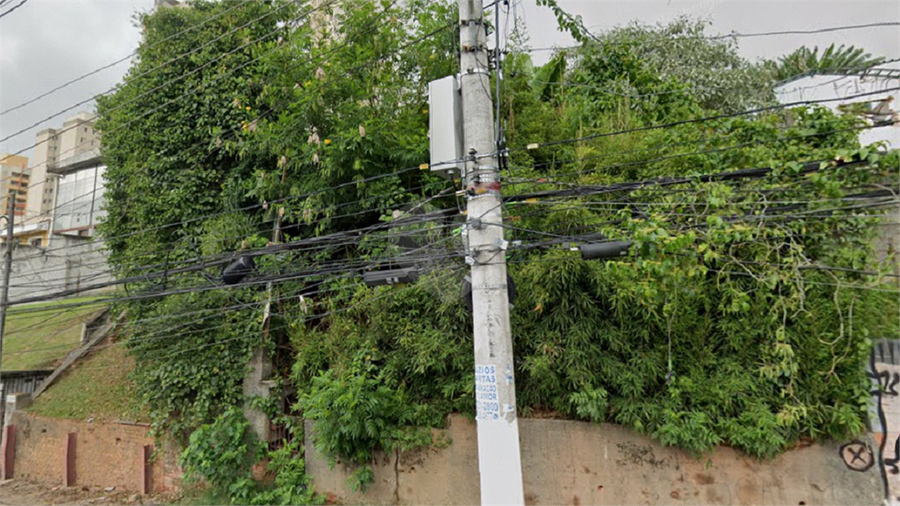 Venda Terreno São Paulo Butantã REO374855 5