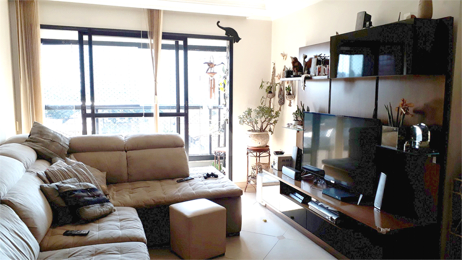 Foto REO375142