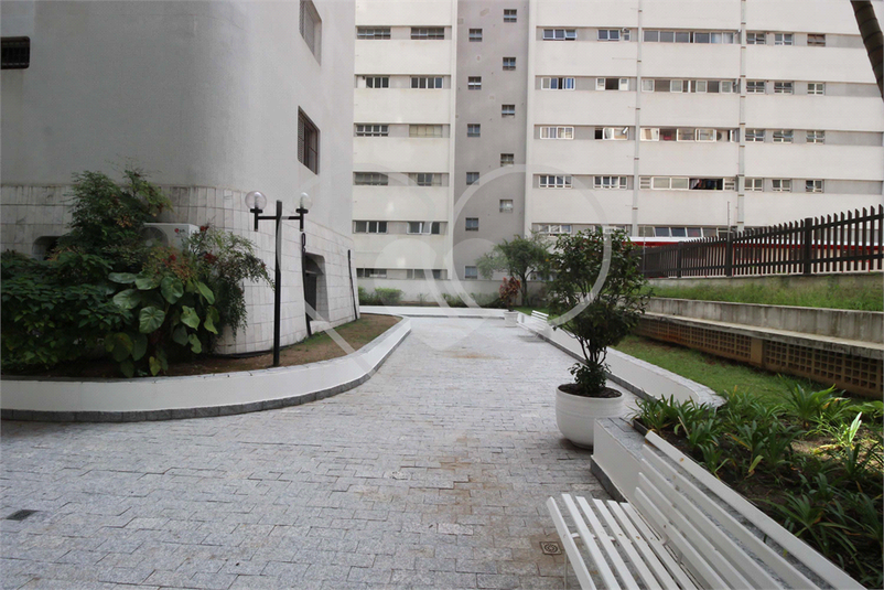 Foto REO375159