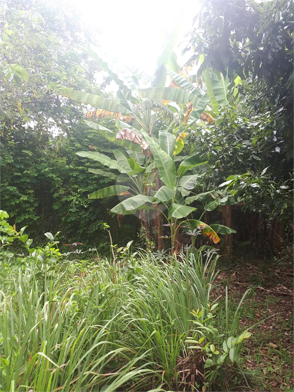 Venda Chácara Mairiporã Serra Da Cantareira REO375240 4