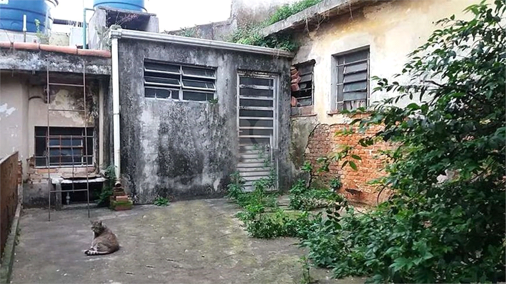 Venda Casa térrea São Paulo Sítio Do Morro REO375390 6