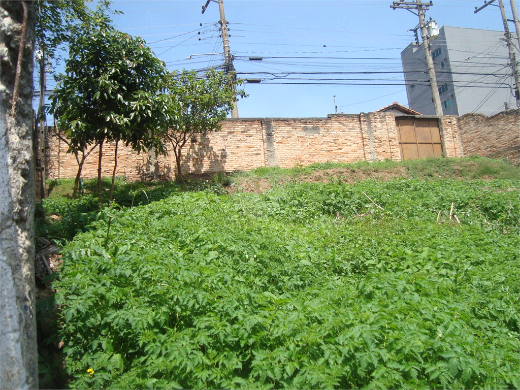 Venda Terreno São Paulo Imirim REO375926 8