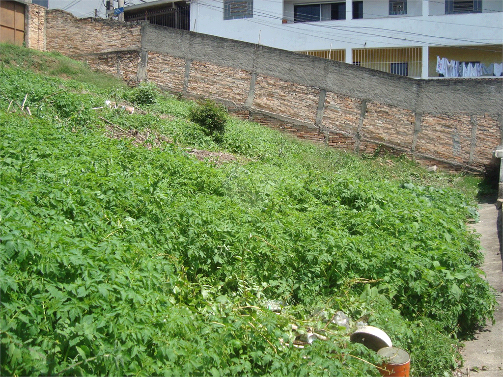 Venda Terreno São Paulo Imirim REO375926 7