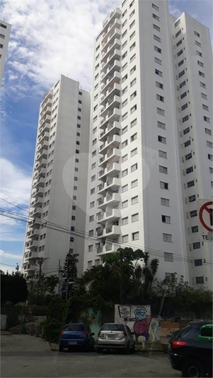 Foto REO376048