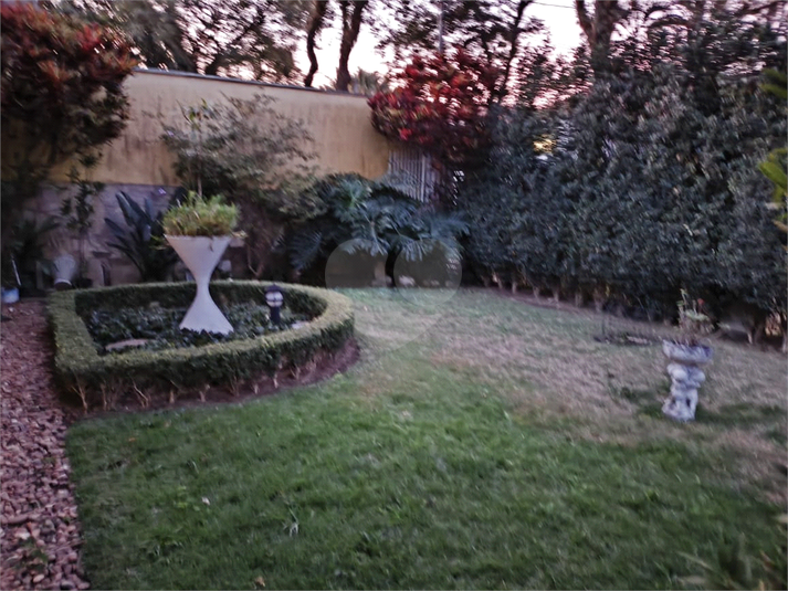Foto REO37606