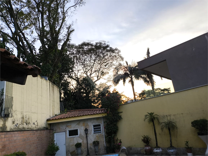 Foto REO37606