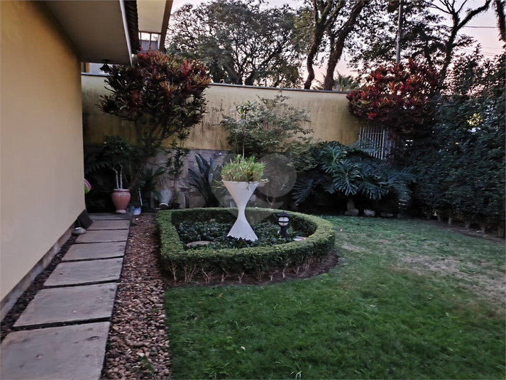 Foto REO37606