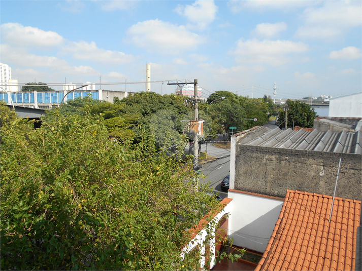 Foto REO376107