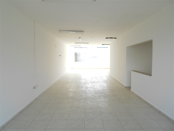 Foto REO376107