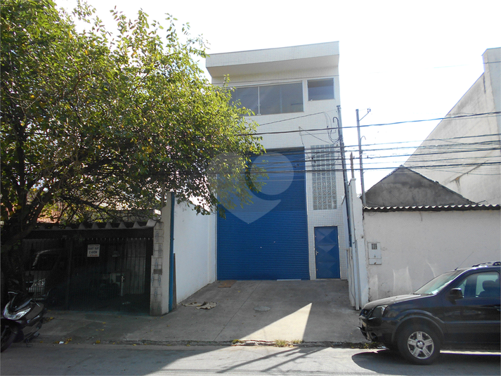 Foto REO376107