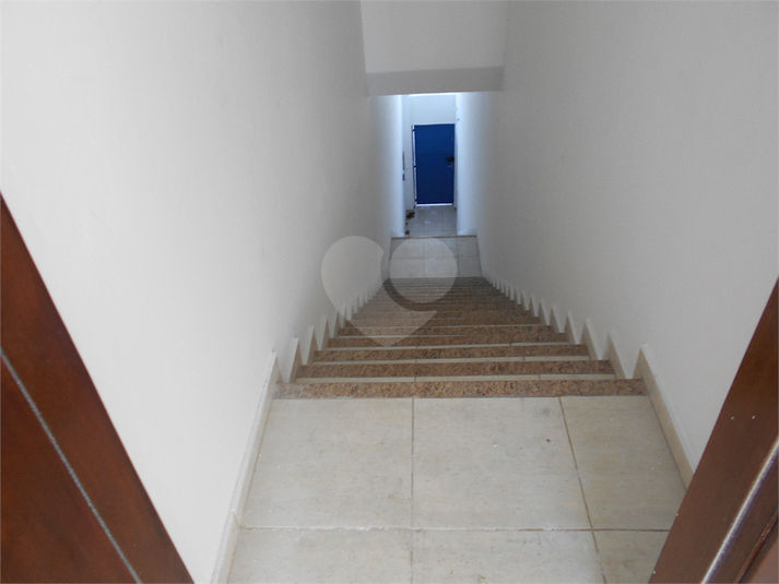Foto REO376107