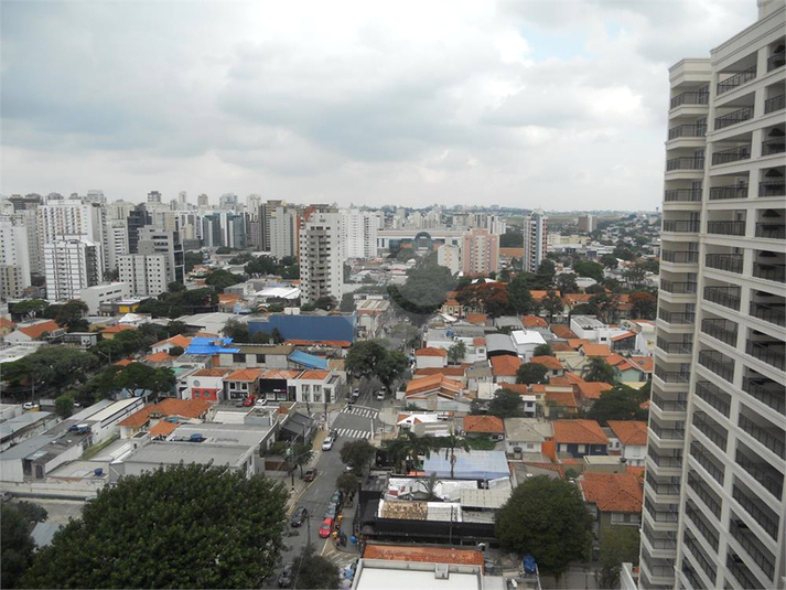 Foto REO376173