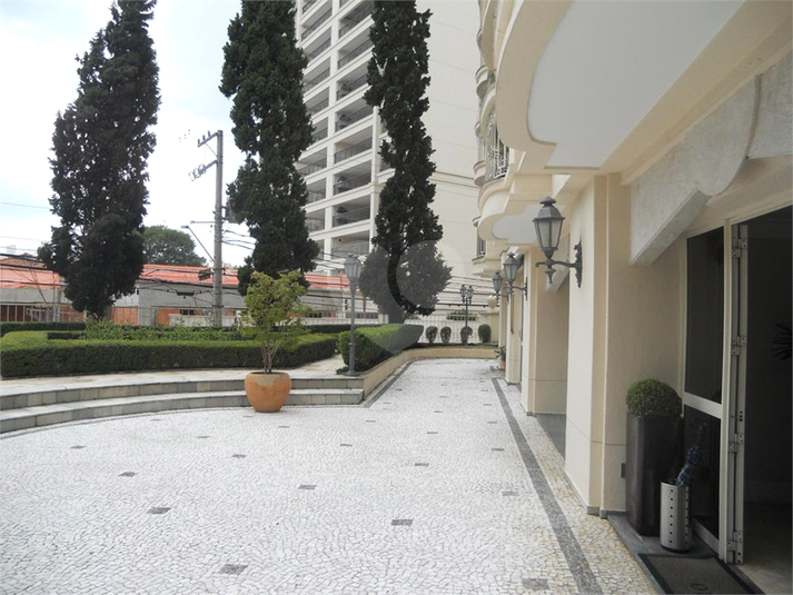 Foto REO376173