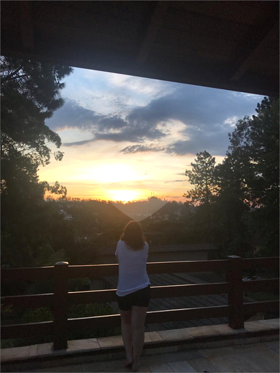 Foto REO376270
