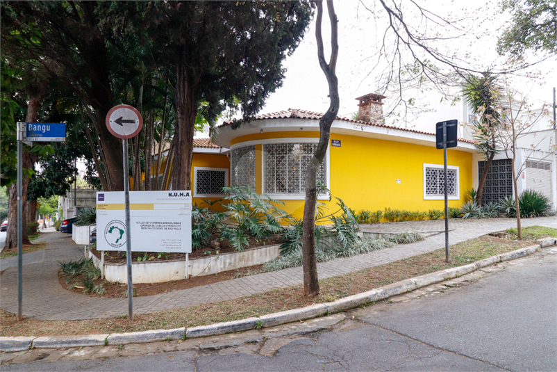 Foto REO376402