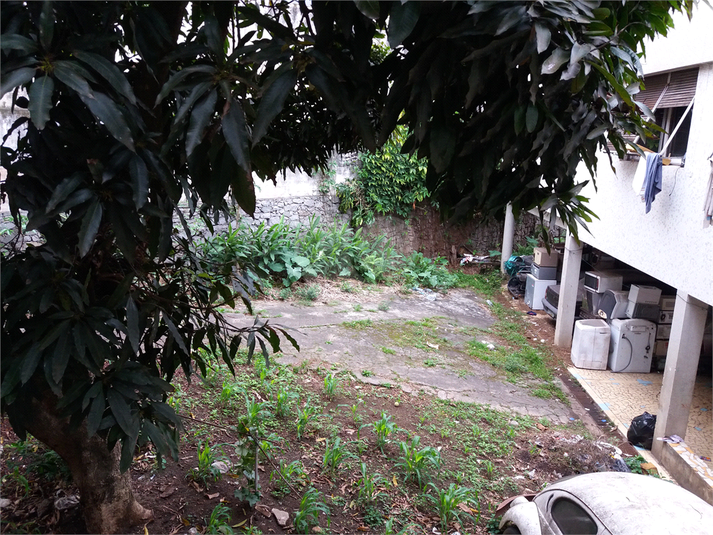 Foto REO37645