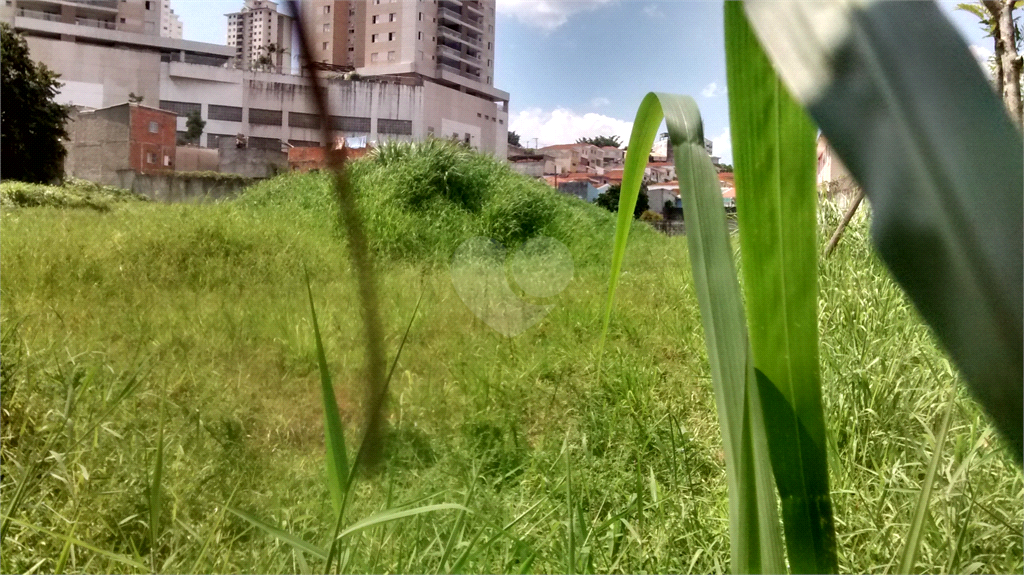 Venda Terreno São Paulo Vila Guaca REO376580 21