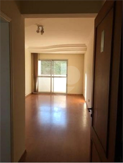 Venda Apartamento Campinas Cambuí REO376612 15