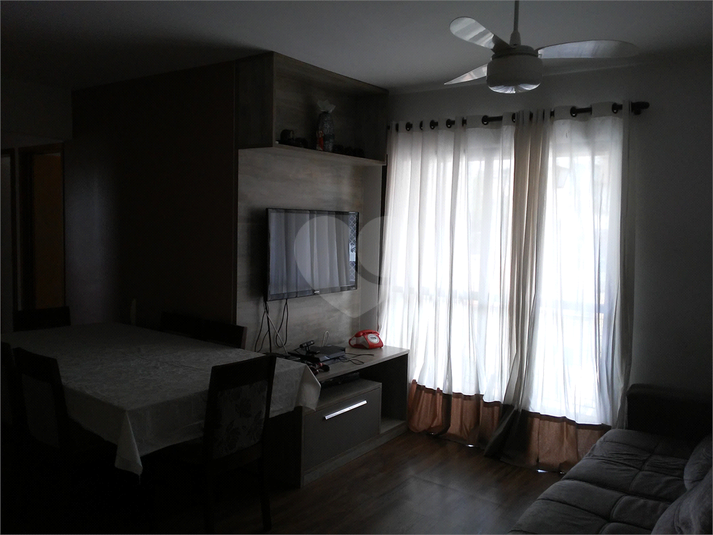 Foto REO376751