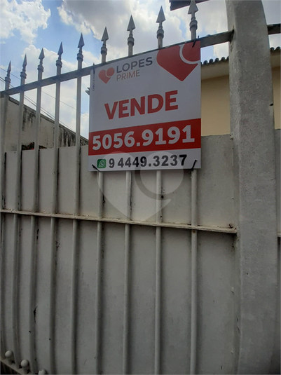 Foto REO37682
