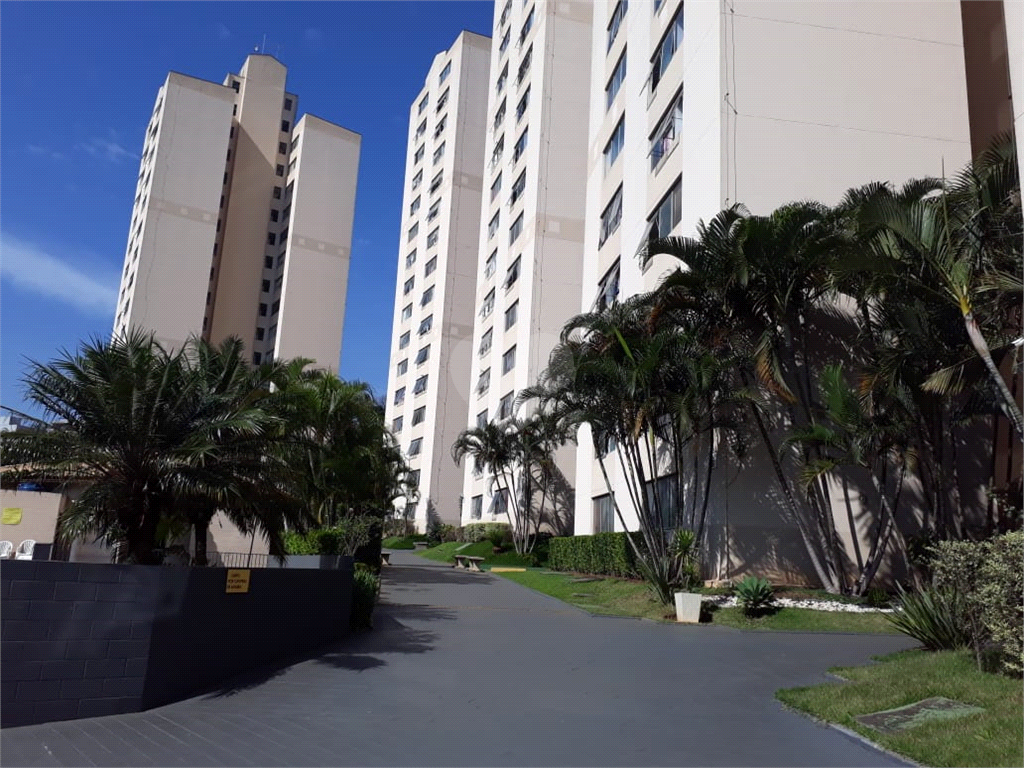 Venda Apartamento São Paulo Jaguaré REO377124 20