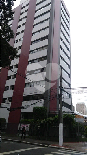 Foto REO377154