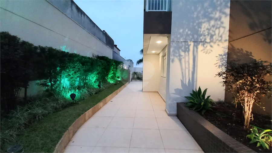 Foto REO377692