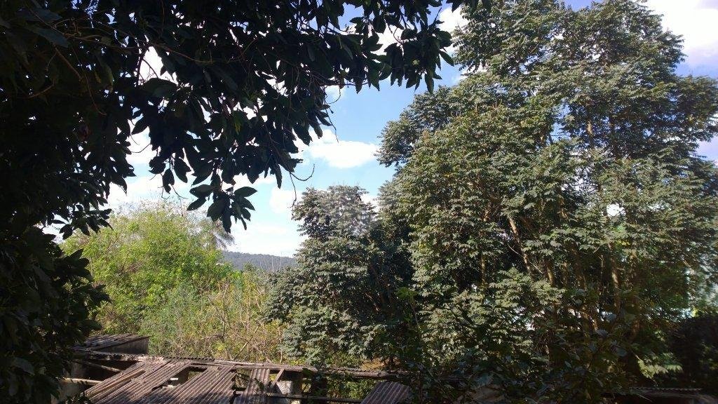 Venda Chácara Cajamar Paraíso (polvilho) REO37794 12