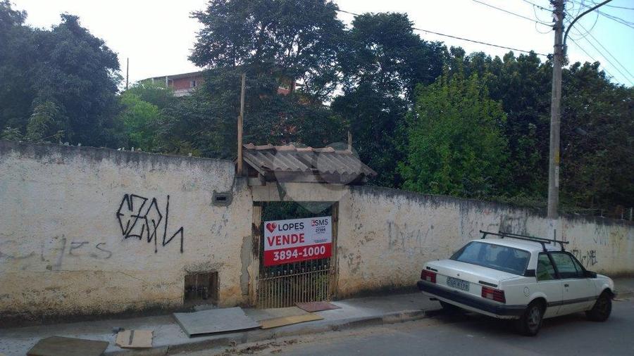 Foto REO37794