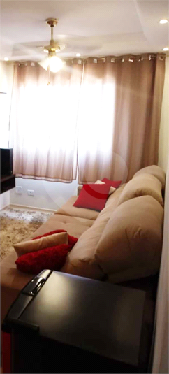 Foto REO378092