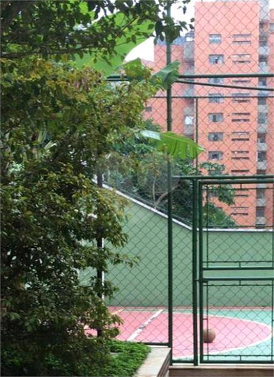 Foto REO378250