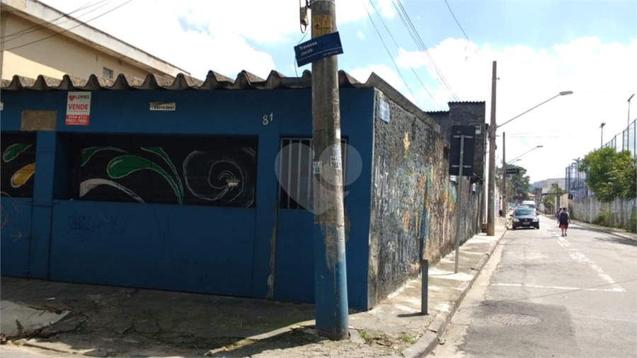 Foto REO378716