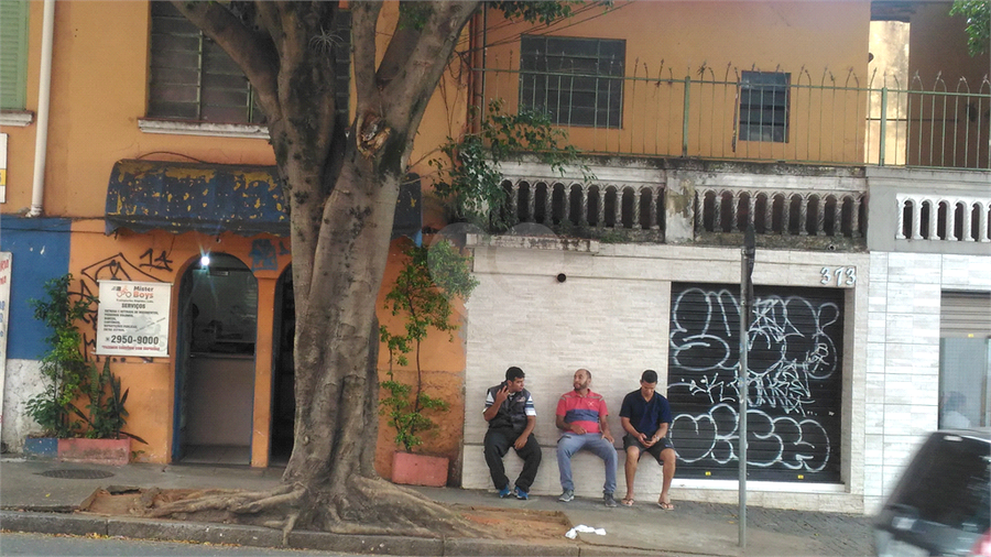 Foto REO378753