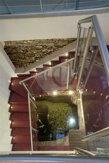 Foto REO379158