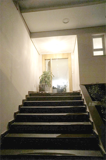 Foto REO379158