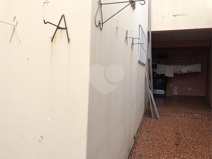 Foto REO379228