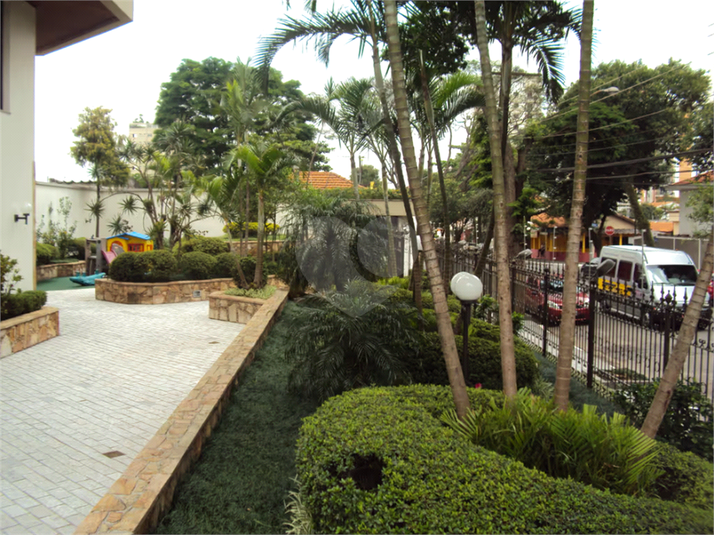 Foto REO379376