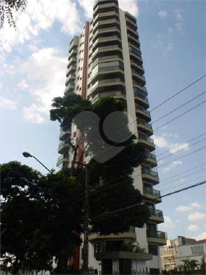 Foto REO379376